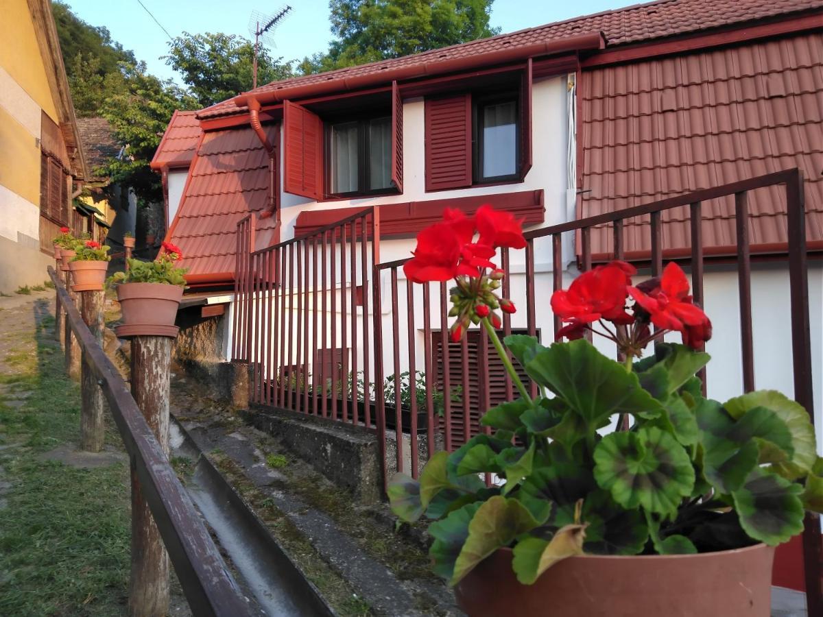 Szonyi Uti Vendeghaz Hotel Zebegeny Exterior photo