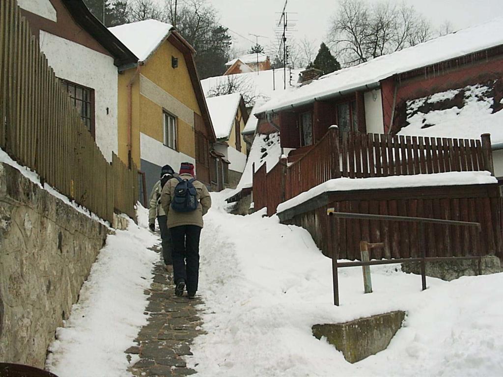 Szonyi Uti Vendeghaz Hotel Zebegeny Exterior photo